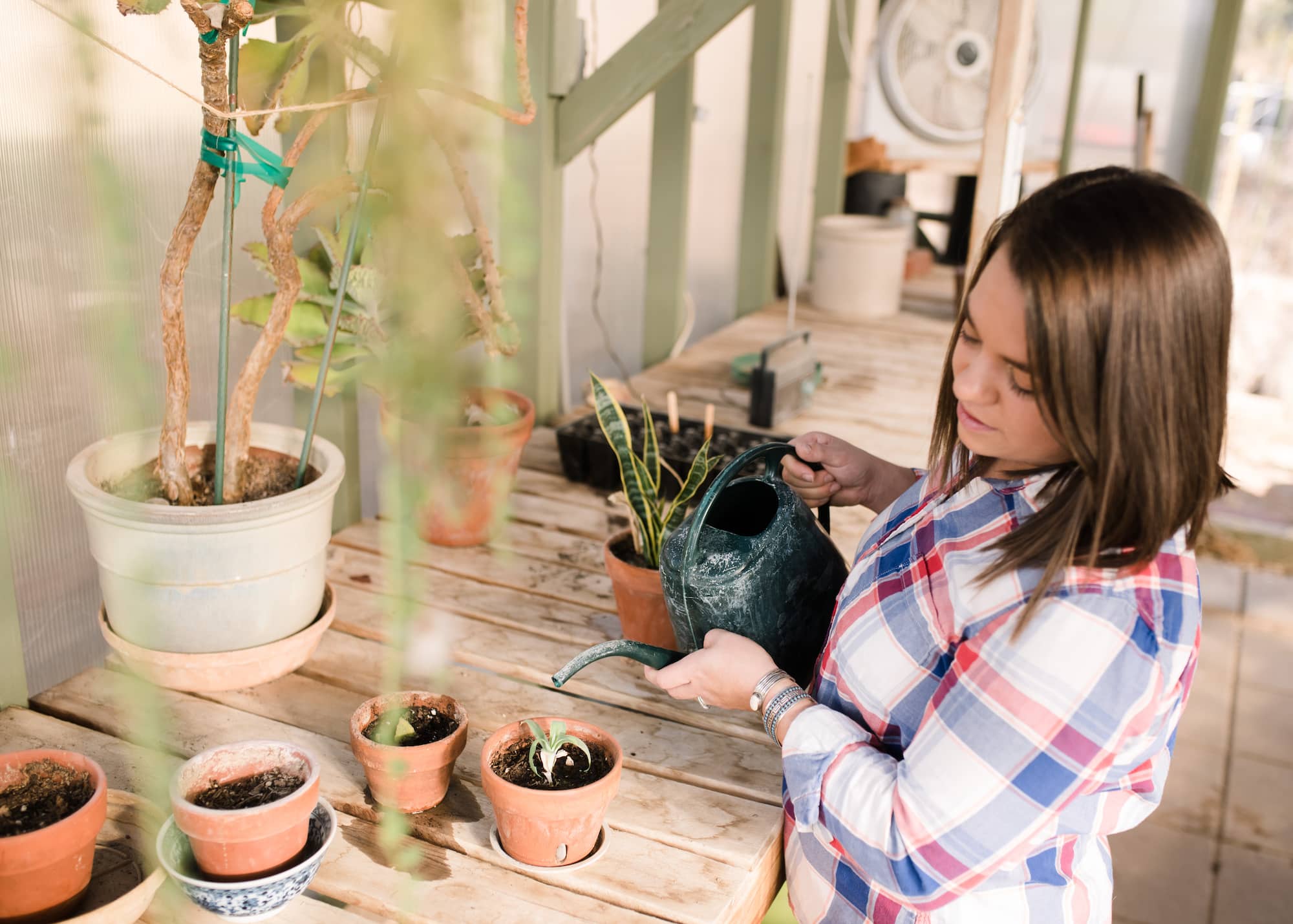 SEO for nonprofits is just like how Adrienne is watering this seedling carefully in her greenhouse. It starts small and will continue growing as long as you water it.
