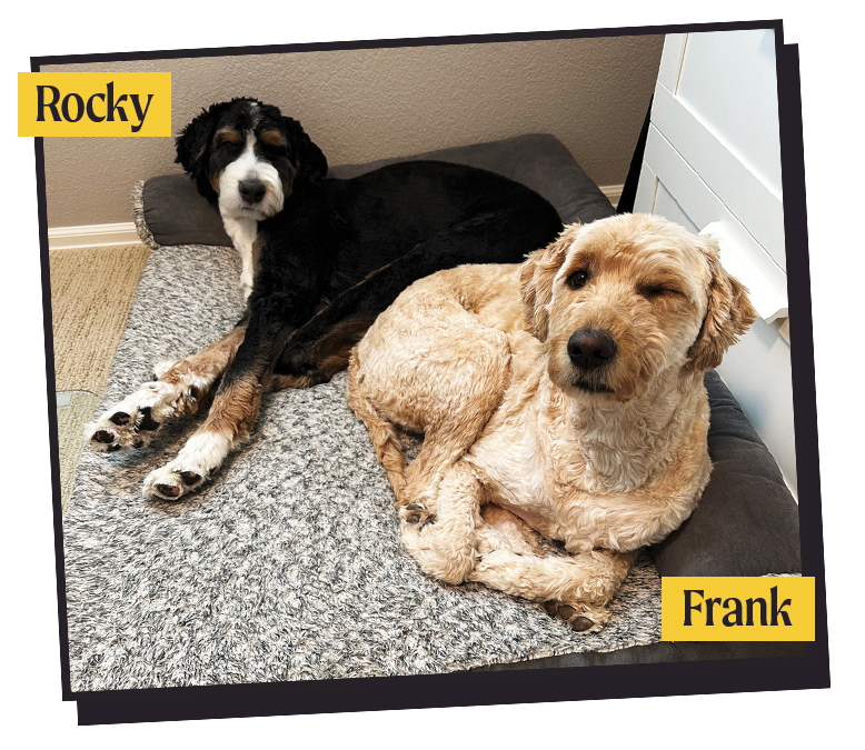 Starting a Nonprofit: A Simple Guide to Building a Brand from Scratch